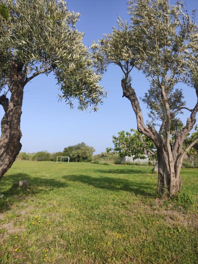 Casetta Ggg SantʼEufemia Lamezia Extérieur photo