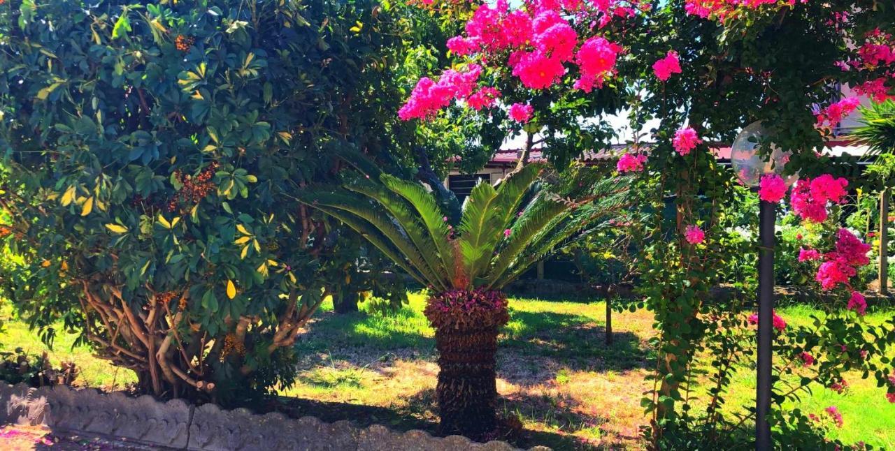 Casetta Ggg SantʼEufemia Lamezia Extérieur photo